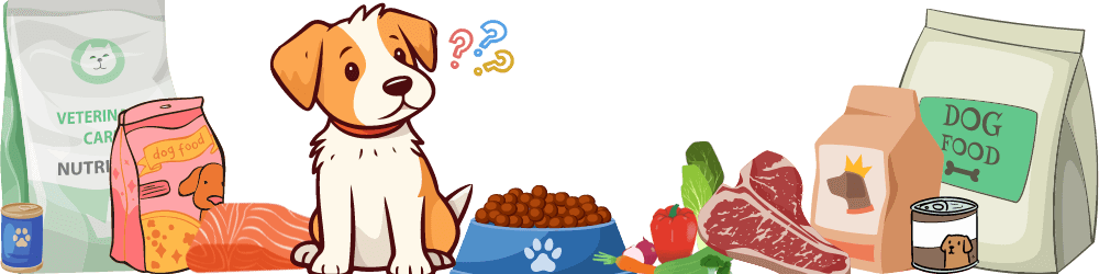 dog food diet guide