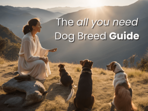 best dog breed guide