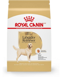 royal canin maxi adult 5